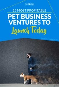 Most Profitable Pet Business Ventures to Start Today