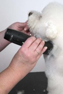 Picking a cordless dog clipper for grooming