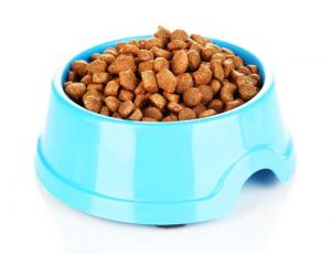 Plastic dog food bowl