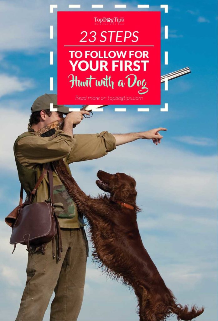 Step Checklist to Follow for Your Very First Hunt With a Gun Dog