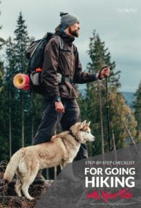 Step by Step Checklist for Going Hiking with Your Dog