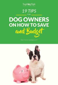 Tips on How to Save and Budget for Your Dog’s General Expenses