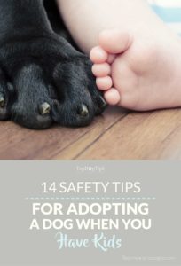 Top Safety Tips for Adopting a Dog When You Have Kids