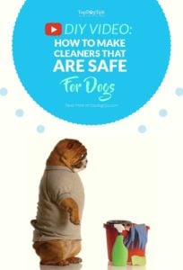 Video on How to Make Homemade Cleaners That Are Safe for Dogs