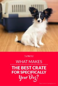 What Makes the Best Pet Crate for Your Specific Dog