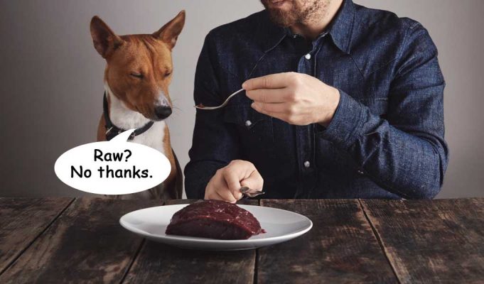 Why you should not feed raw dog food diet featured image