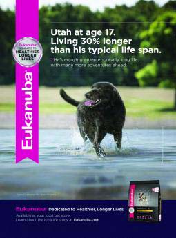 Eukanuba dog food ad