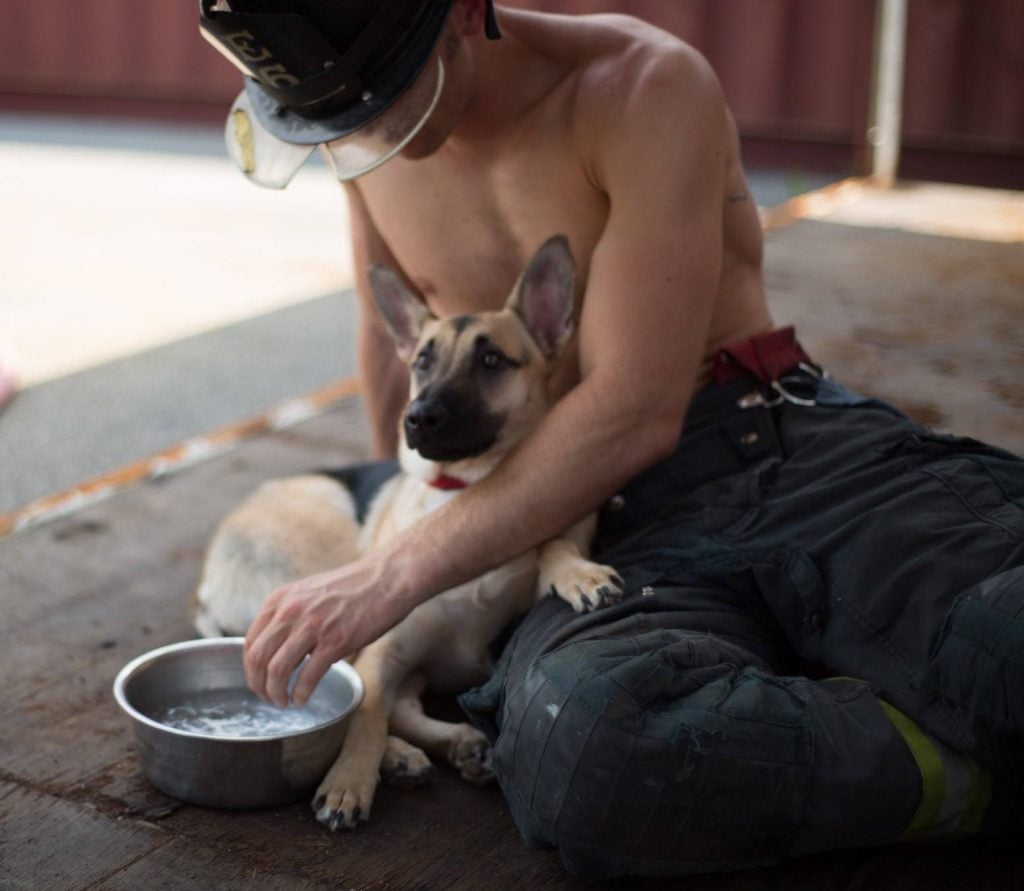 Hunky Firefighter Adopts Homeless Dog After Photoshoot