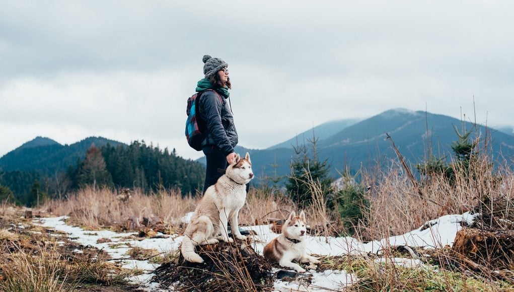 tips and tricks for hiking with your dog