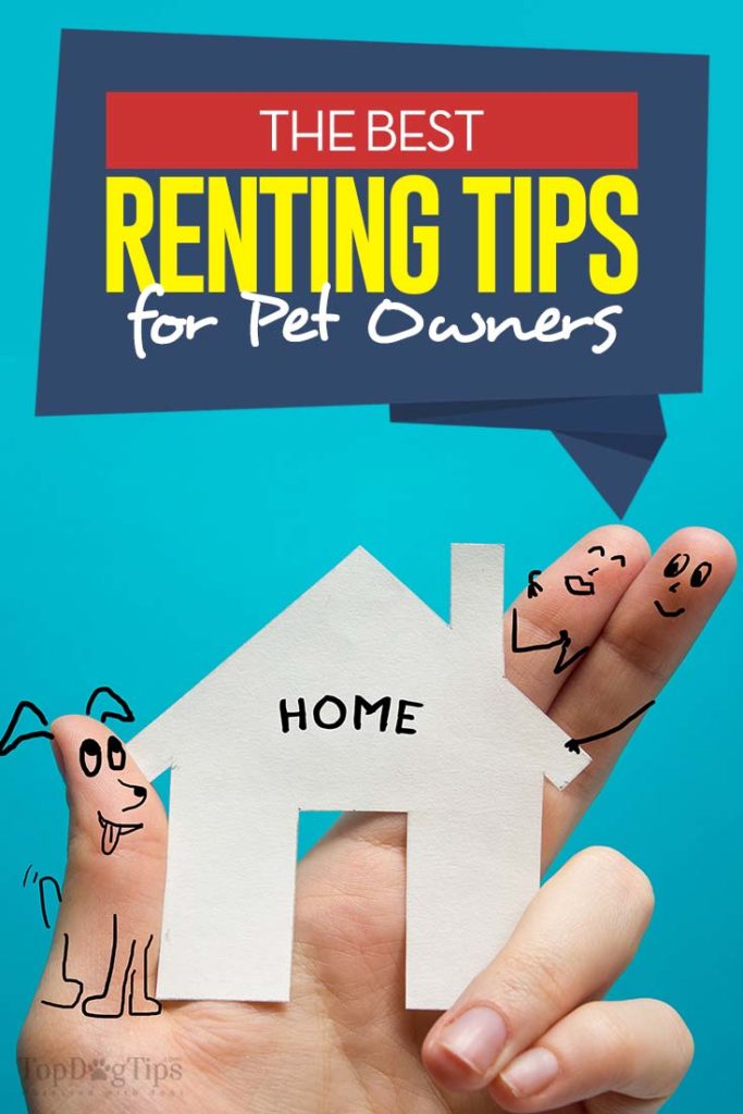 11 Tips for Pet Owners that Rent