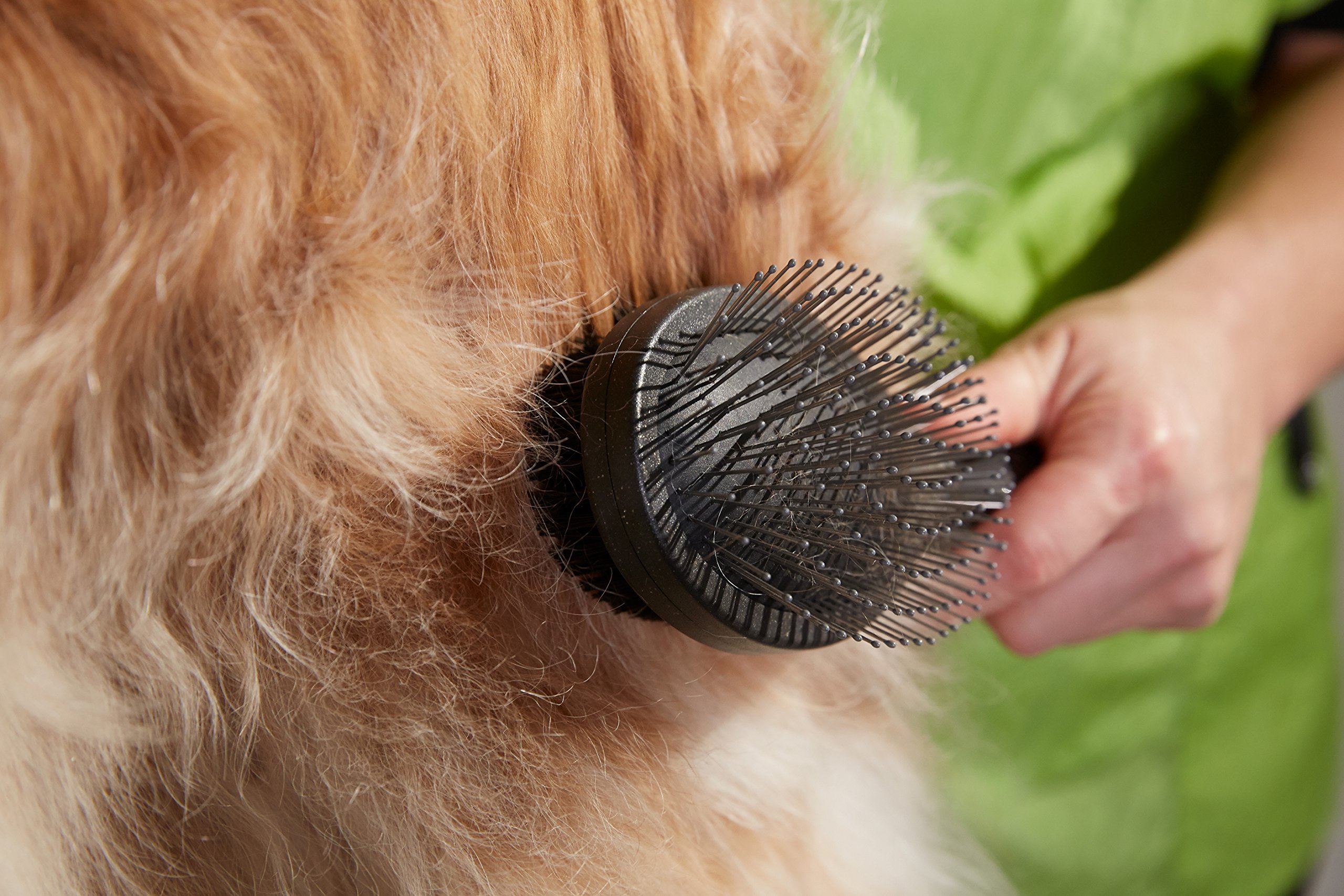 Andis Grooming Brush and Happy Dog Zone Shampoo Giveaway