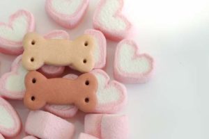 Benefits of marshmallows for dogs