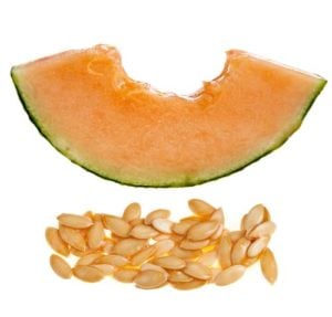 Cantaloupe seeds are dangerous to dogs