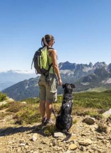 Hiking with dogs on a trail mountains