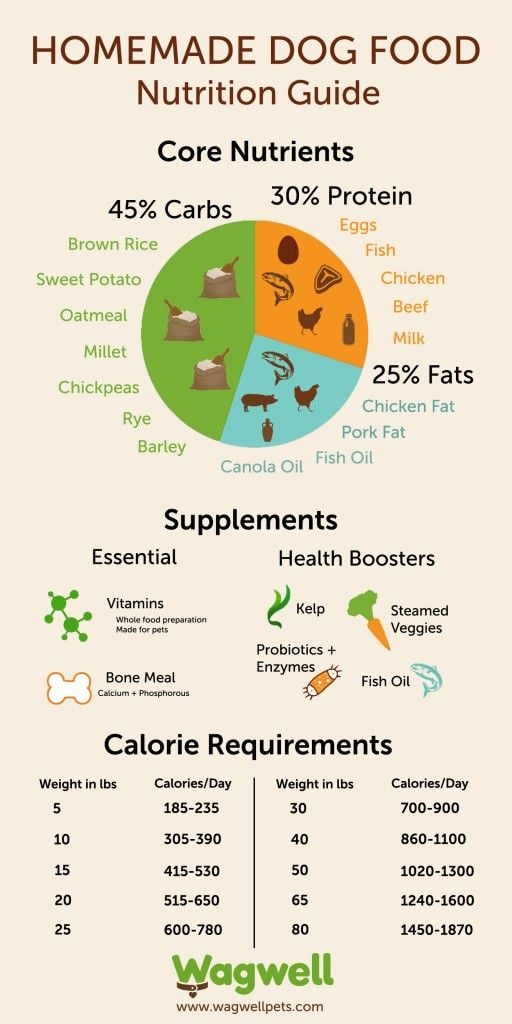 Homemade dog food nutrition guide infographic