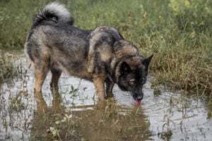 Drinking safety and dangers on the hiking trail