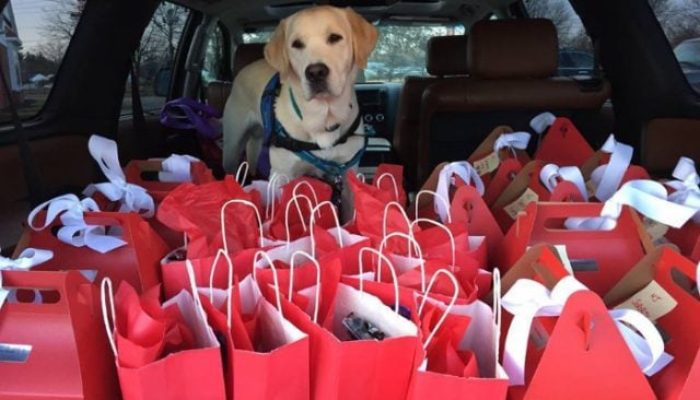 Service Dogs Trained by Inmates Give Valentine’s Day Surprise