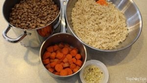 Low Protein Homemade Dog Food Recipe