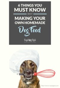 Must-Know Tips for Making Your Own Homemade Dog Food