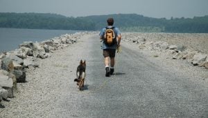 Step by Step Checklist for Hiking with Your Dog