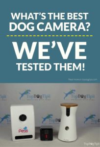 The Best Dog Camera Test