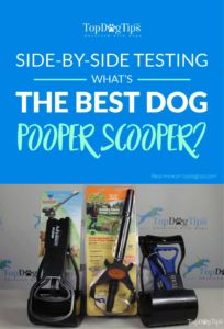 The Best Dog Pooper Scooper Test