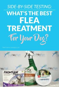 The Best Flea and Tick Treatments for Dogs Test