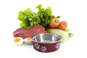 The basics of healthy dog nutrition