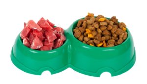 Dog food cooking times and temperature