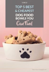 Top Best Cheap Dog Food Bowls