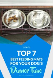 Top Best Dog Feeding Mats to Keep Doggy Dinning Area Clean