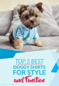 Top Best Dog Shirts