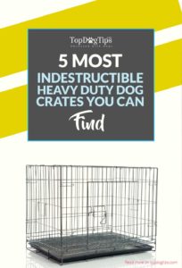 Top Best Heavy Duty Dog Cages Indestructible Dog Crates