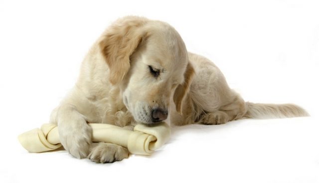 best dog rawhide treats