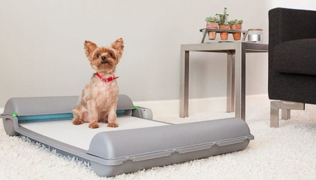 BrilliantPad - the World’s First Self-Cleaning Indoor Dog Potty