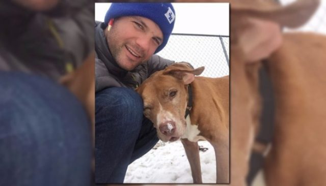 Hot Guy Adopts Sick Senior Dog, Breaks Internet