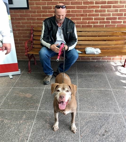 This Man Just Adopted an 18-year Old Shelter Dog