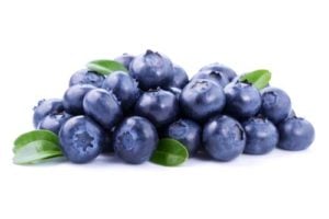 Are blueberries for dogs healthy