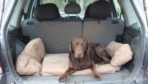 Testing the Backseet Barker Tough Dog Bed for SUVs