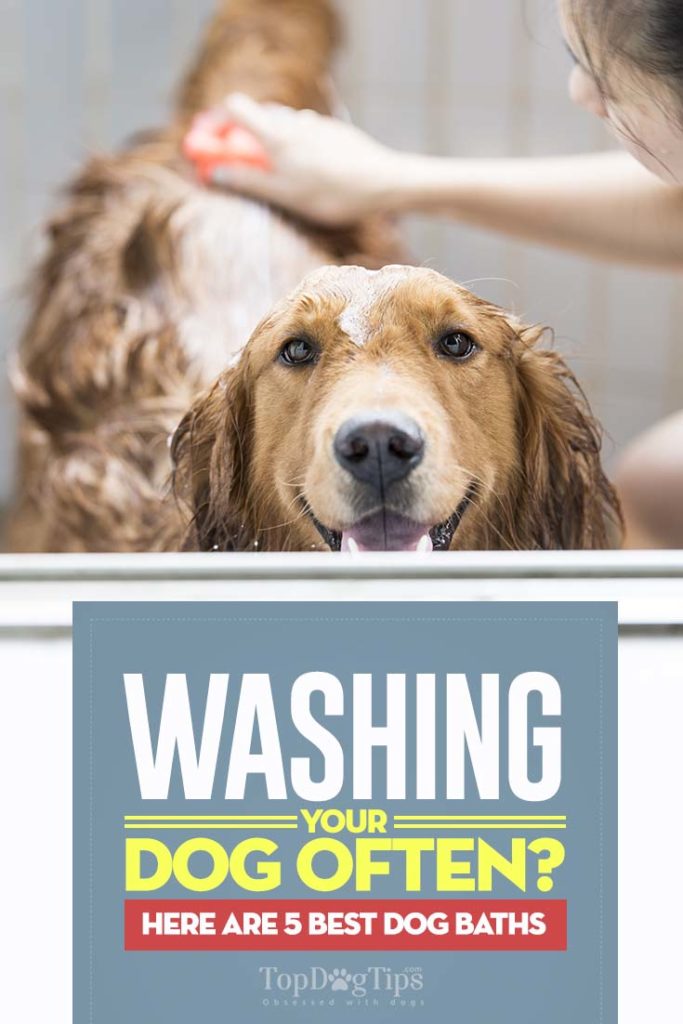 Best Dog Baths for Easier Grooming