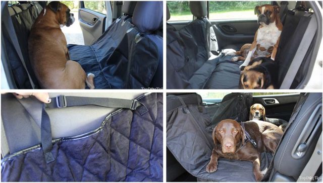 Best Dog Car Hammocks for Your Pet