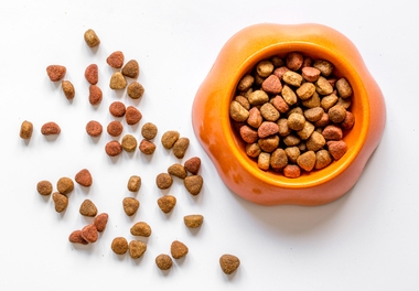 Hypoallergenic dog food in an orange bowl