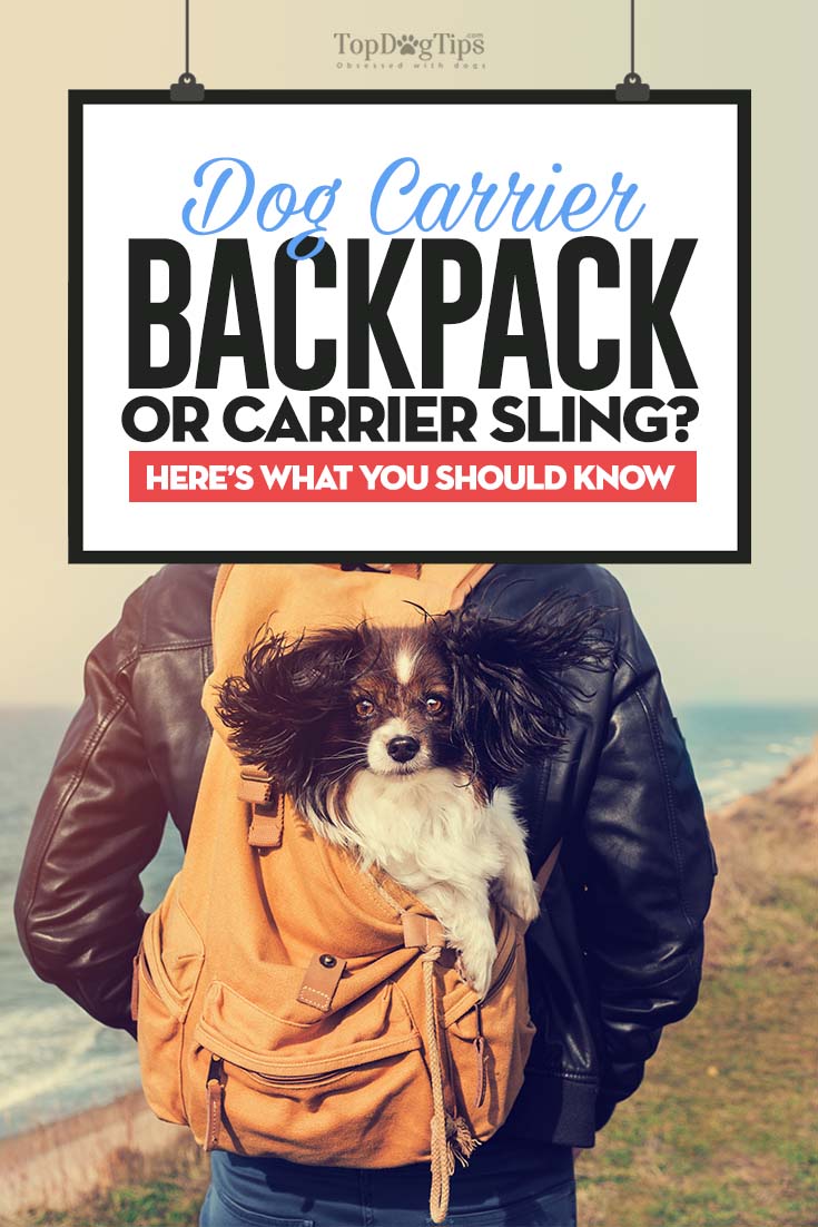 Dog Backpack or Dog Sling