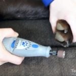 Dremel for dog nail cutting