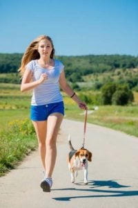 Exercise the dog to reduce stress