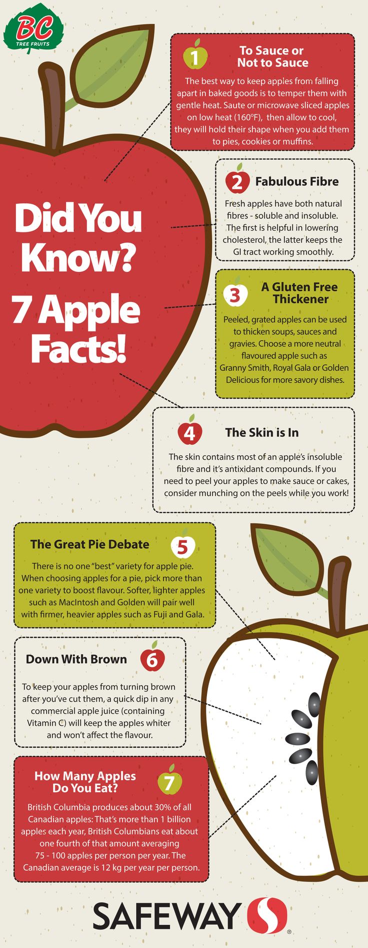 Health benefits of apples for dogs infographic