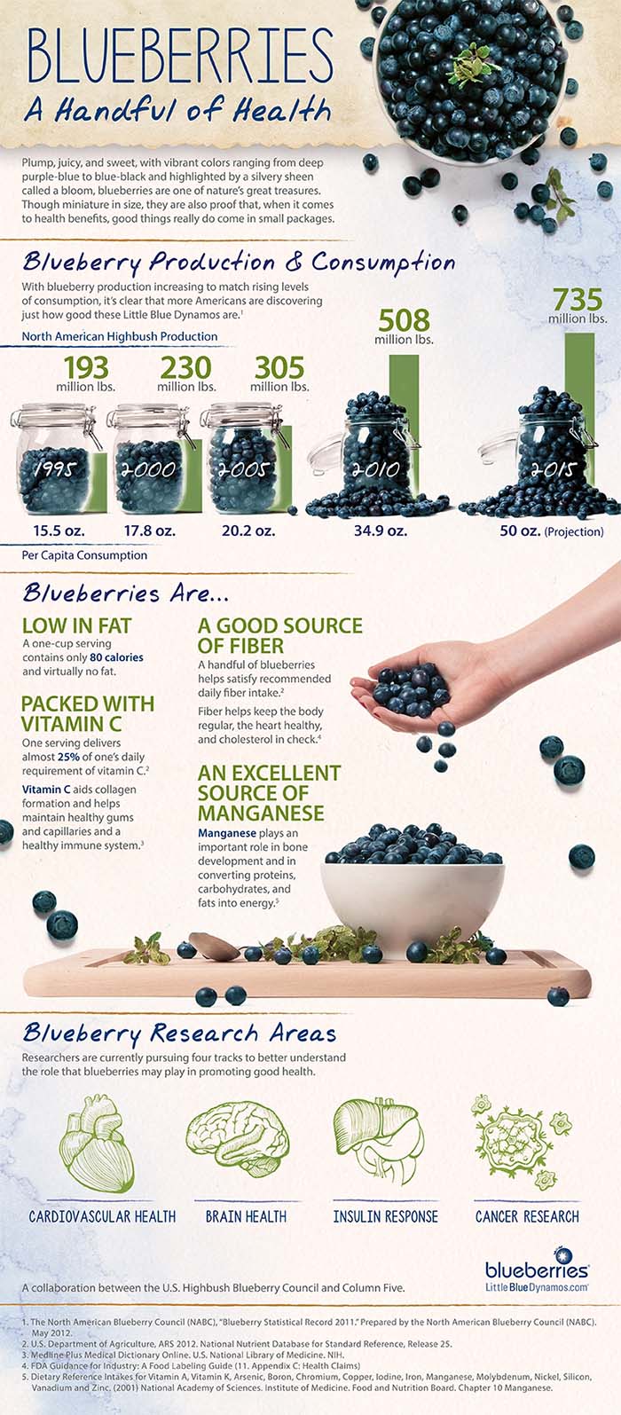 Health benefits of blueberries for dogs infographic