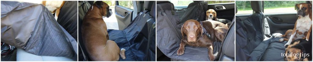 How to Pick the Best Dog Car Hammock