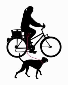 What is the best dog bike leash brand and how to pick one