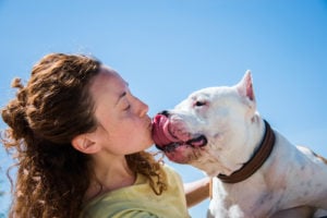 A dog’s mouth is cleaner than a human’s